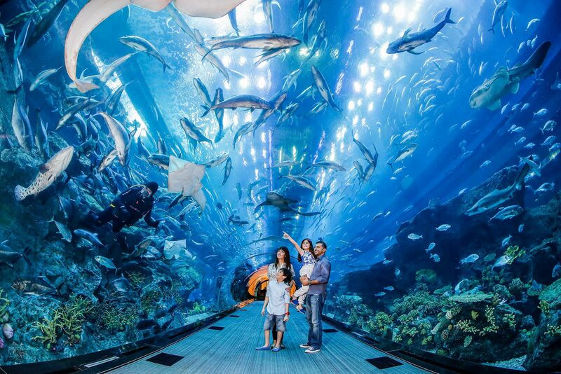 Dubai_Aquarium.jpg