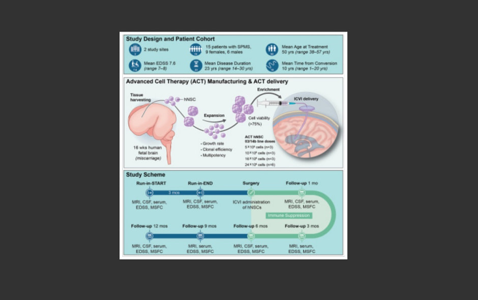 клетки.jpg клетки.jpg