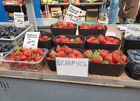 Греческая клубника – почти даром. Почём на Комаровке продают белорусскую и подешевела ли голубика?