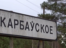 Могли похитить: милиция отрабатывает несколько версий исчезновения мальчика в Березинском районе