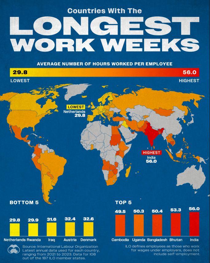 работа инфографика.png