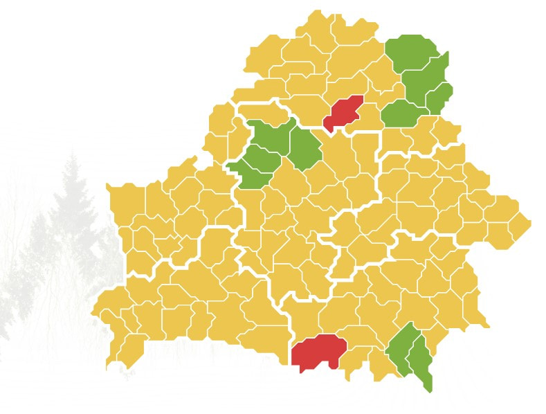 минлесхоз грибы