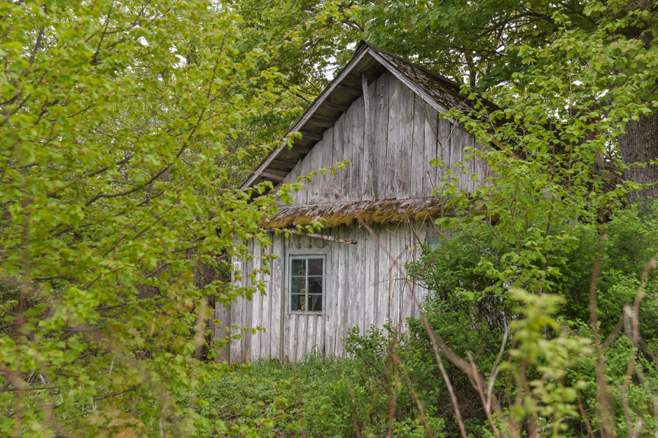 Белоруска в Шеметово 10.png