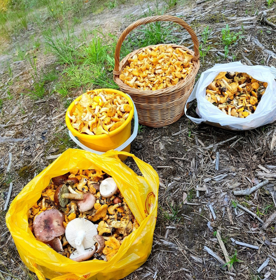 pTlu2m7JSs3YCqKAZwgl_OHcI5IO3v_ZdiZVvfHw7bcTDmSpuNxWthI7xevqjrWsLt--i07u3rrlp1J_x1pJpT6-.jpg pTlu2m7JSs3YCqKAZwgl_OHcI5IO3v_ZdiZVvfHw7bcTDmSpuNxWthI7xevqjrWsLt--i07u3rrlp1J_x1pJpT6-.jpg