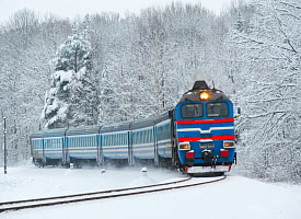 На Могилёвщине поезд столкнулся с диким животным – БЖД предупредила об опоздании