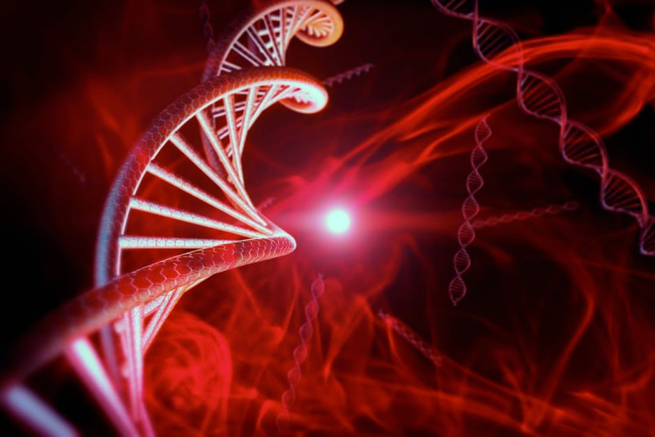 Хитросплетения ДНК