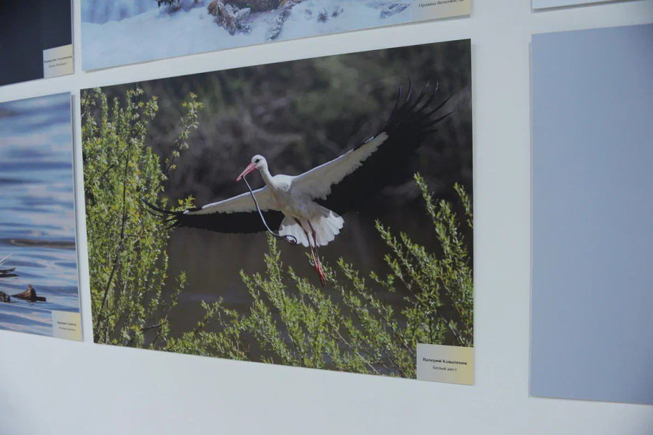 Выставка 2.jpg Выставка 2.jpg