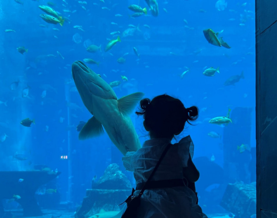 Жизнь на Пальме Дубай 31.jpg