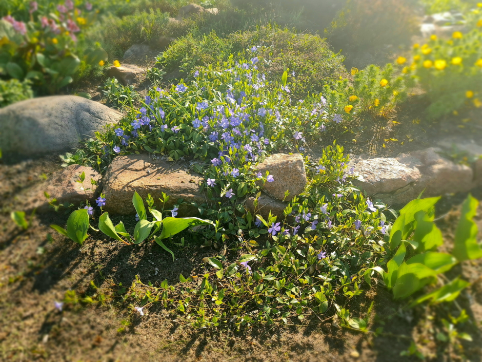 Прогулка по Ботаническому саду 9.png