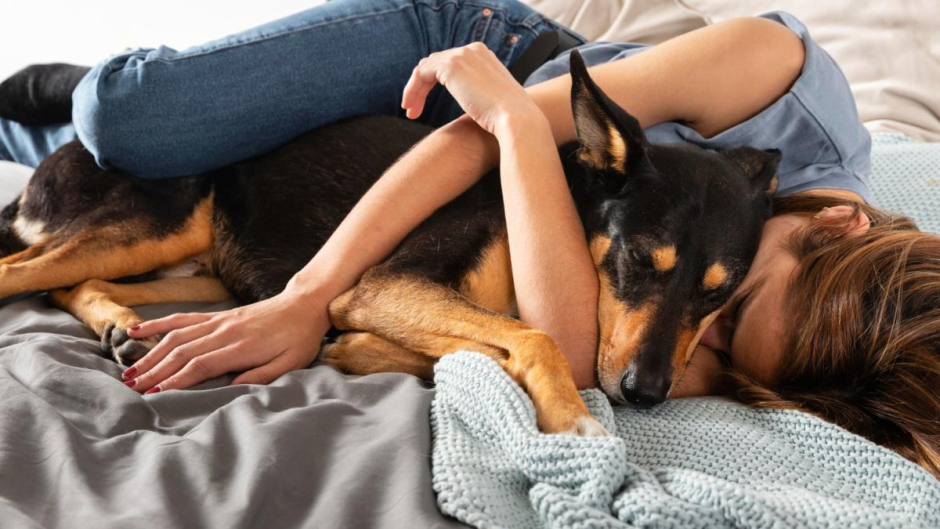 хозяйка с собакой