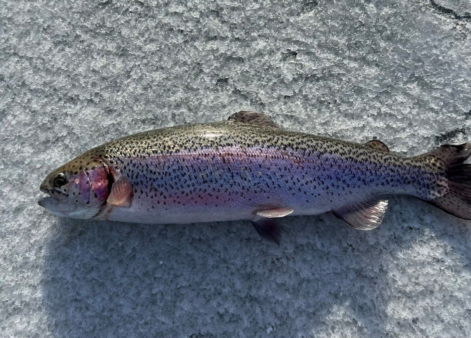 Экопарк Акварель 22.jpg Экопарк Акварель 22.jpg