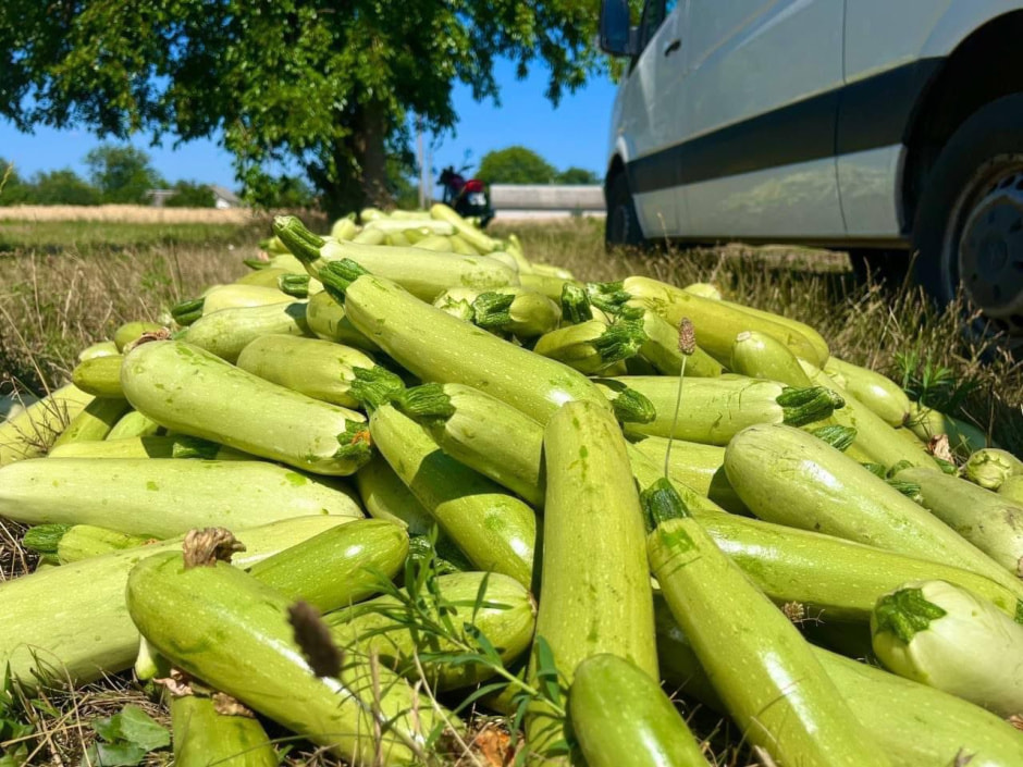 photo_2026-01-04_12-59-49 (2).jpg