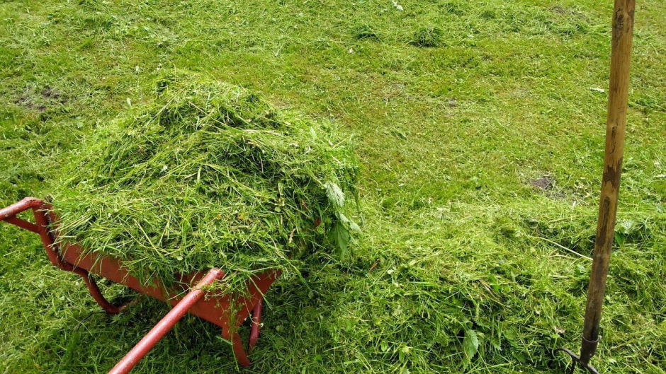 Скошенная трава Скошенная трава