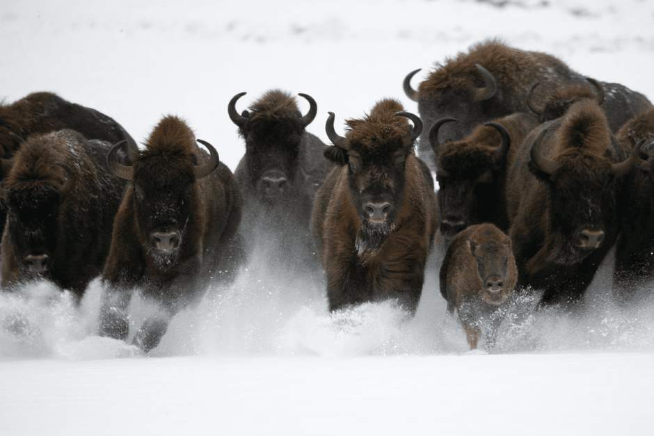 Сергей Плыткевич и его фото 4.png