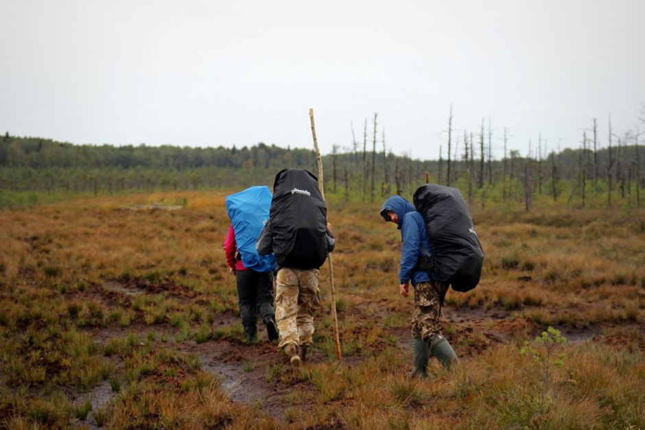 23-По болотной тропе.jpg