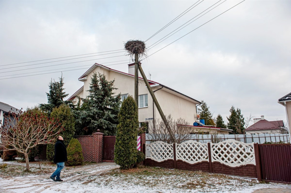 Мужчина спасает аистов 1.jpg Мужчина спасает аистов 1.jpg