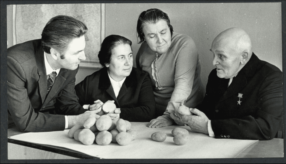 Петр Альсмик и его картофельная команда Петр Альсмик и его картофельная команда