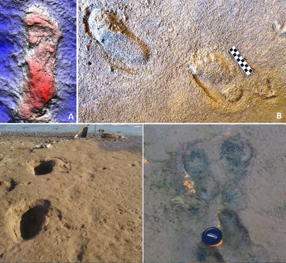 следы неандертальцев