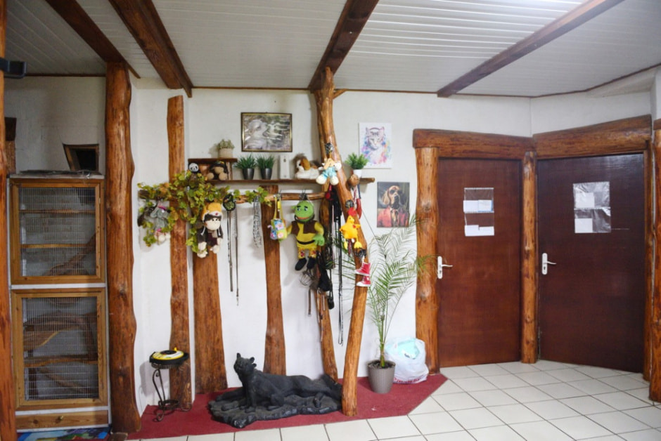 Зоогостиница 4 лапы 16.jpg