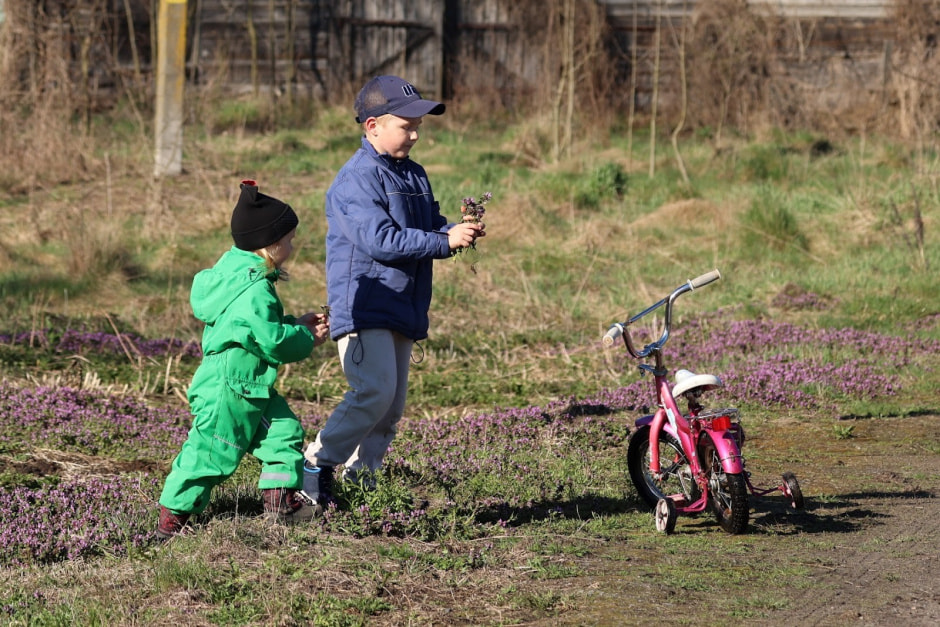Аисты в деревне Малешев 34.jpg