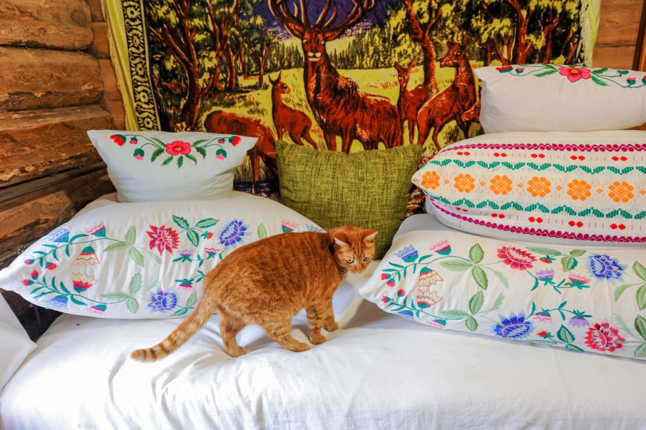 Деревня Ушковица 27.jpg