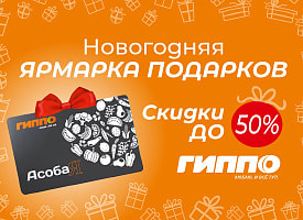 Готовимся к Новому году. Секреты выгодной закупки подарков и еды