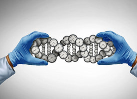 Ученые пересчитали роль генов в долголетии: влияние наследственности оказалось куда выше