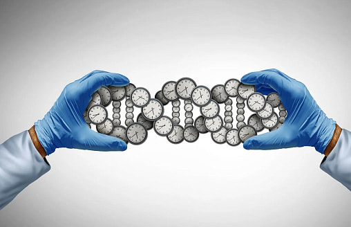 Ученые пересчитали роль генов в долголетии: влияние наследственности оказалось куда выше