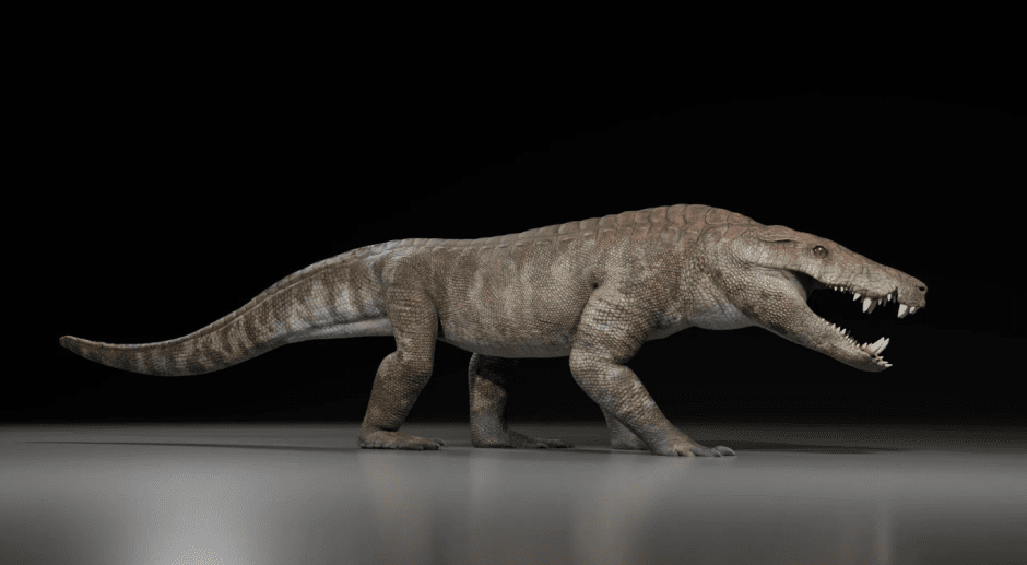 Kostensuchus atrox – реконструкция жизни, длина 3 метра Kostensuchus atrox – реконструкция жизни, длина 3 метра