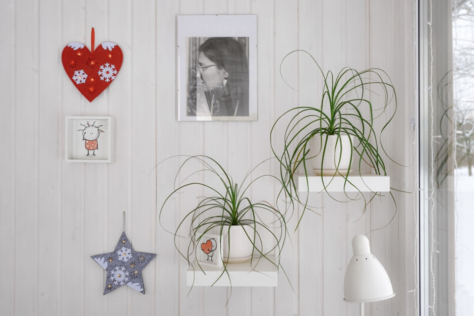 Хутор Скрабатуны 11.jpg