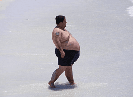 Ученые нашли “переключатель жира”: блокировка фермента защищает печень и не дает набирать вес