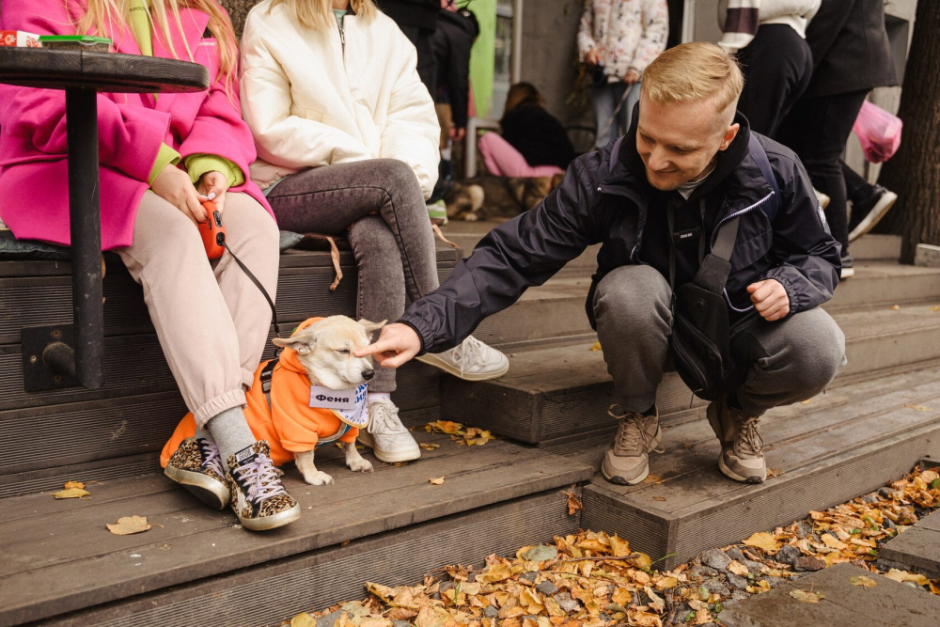 27 котов и 5 собак нашли хозяев — 