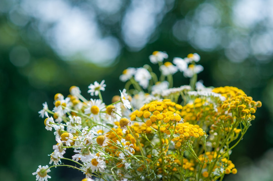 Что нужно успеть сделать в августе с деревне 22.jpg