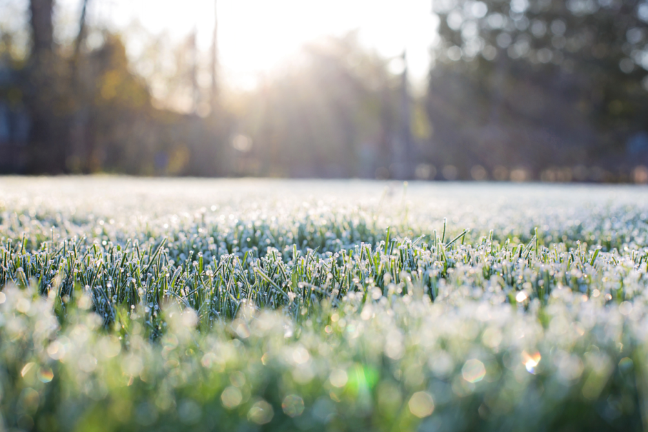 Замерзшая трава.png