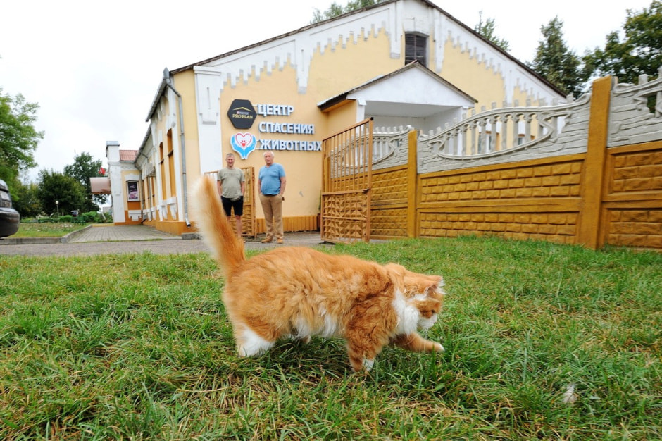 Суперветеринар из Лиды 1.jpg