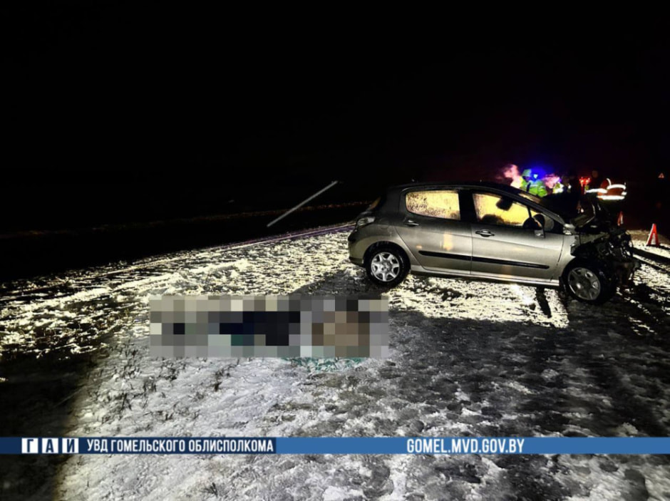 В Речицком районе Peugeot на трассе выехал на встречку. Есть погибшие.jpg