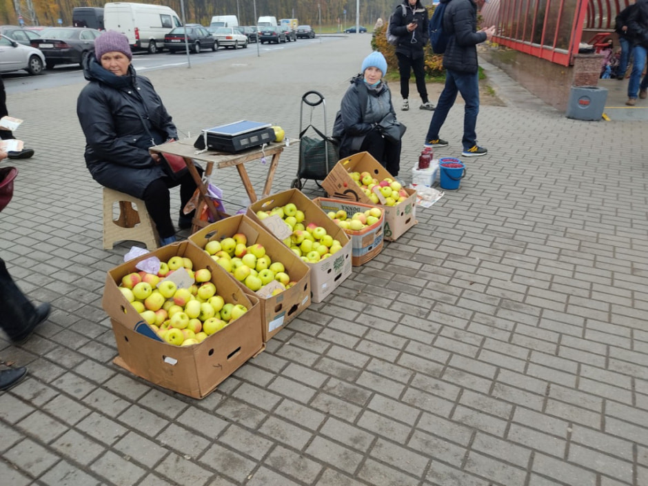 могилевская_яблоки.jpg