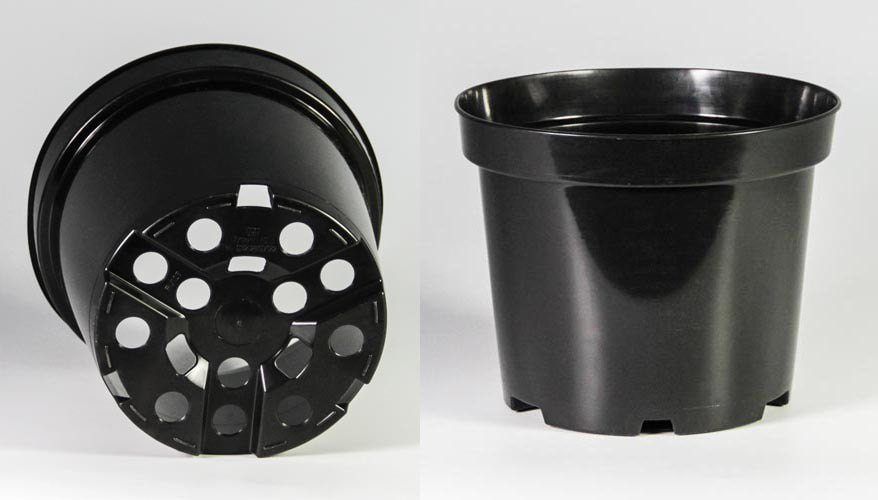 photo_2025-02-03_20-51-39 (4).jpg