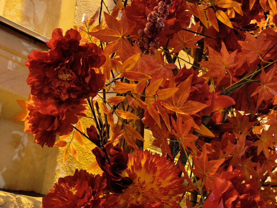 Xiaomi 15T Pro - вечер 6.jpg