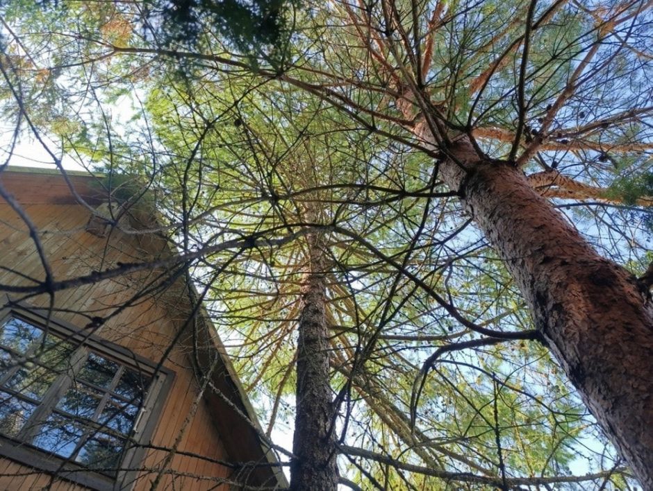 Художник Владимир Цвирко и его путешествия по Беларуси 13.jpg