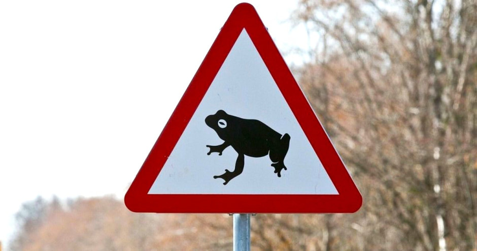 Лягушачий знак