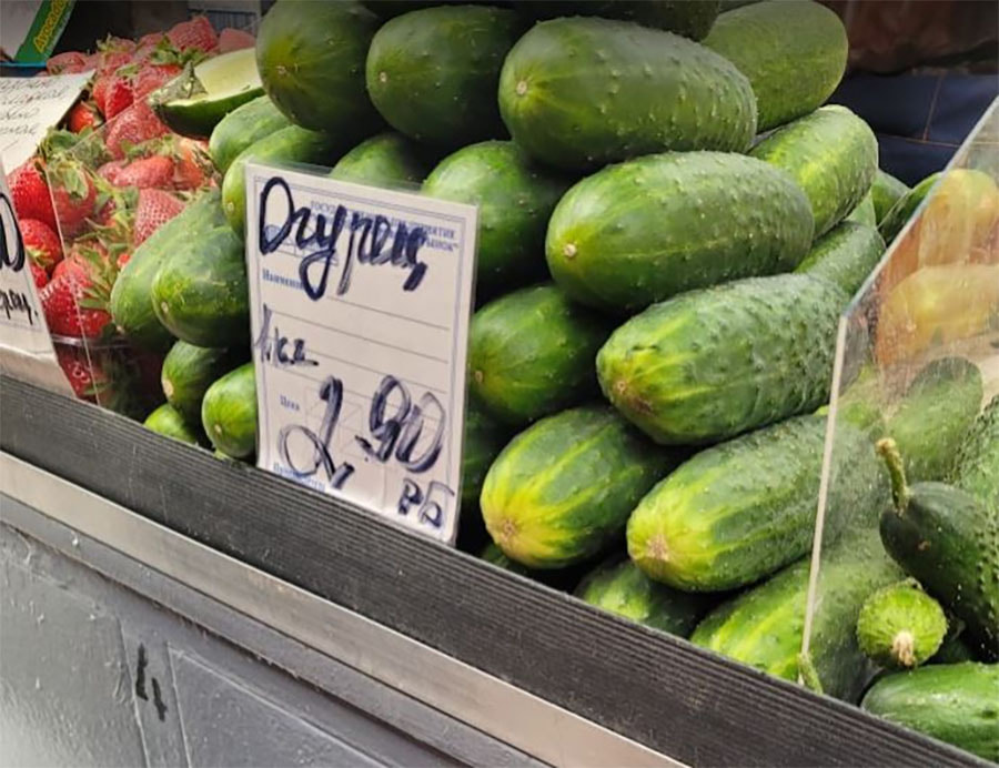 огурцы на комаровке.jpg