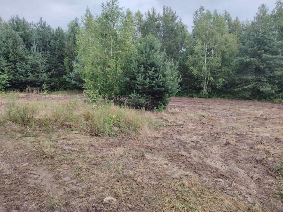 убранная территория, Столин.jpg