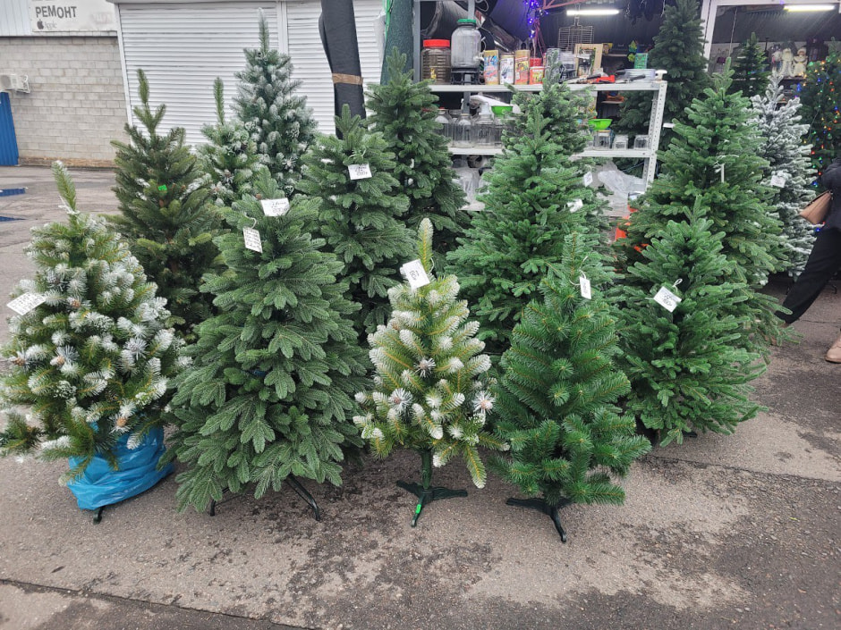 елки, комаровка.jpg