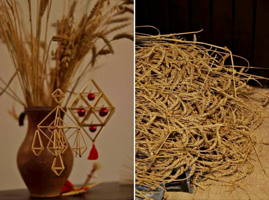 14-Соломенный паук.jpg