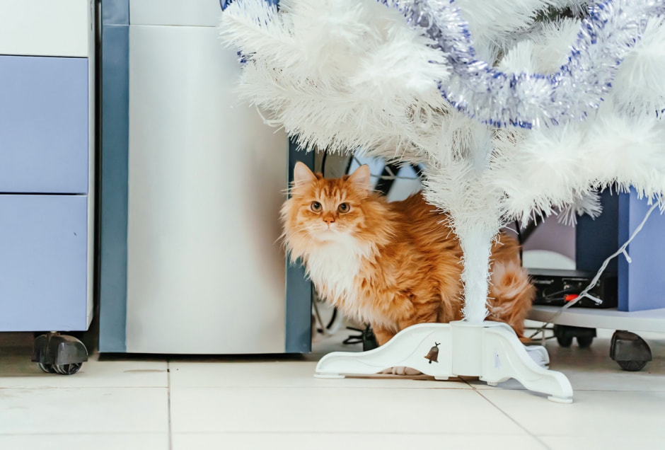 2 (11).jpg 2 (11).jpg