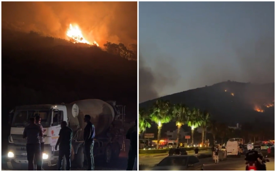 Несколько регионов Турции охватили лесные пожары.jpg