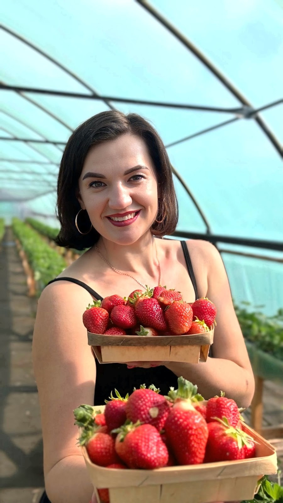 3-Ксения Баранова из поселка Октябрьский выращивает клубнику на продажу.jpg