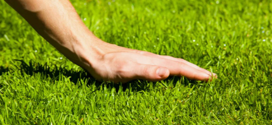 Стрижка газона в жару