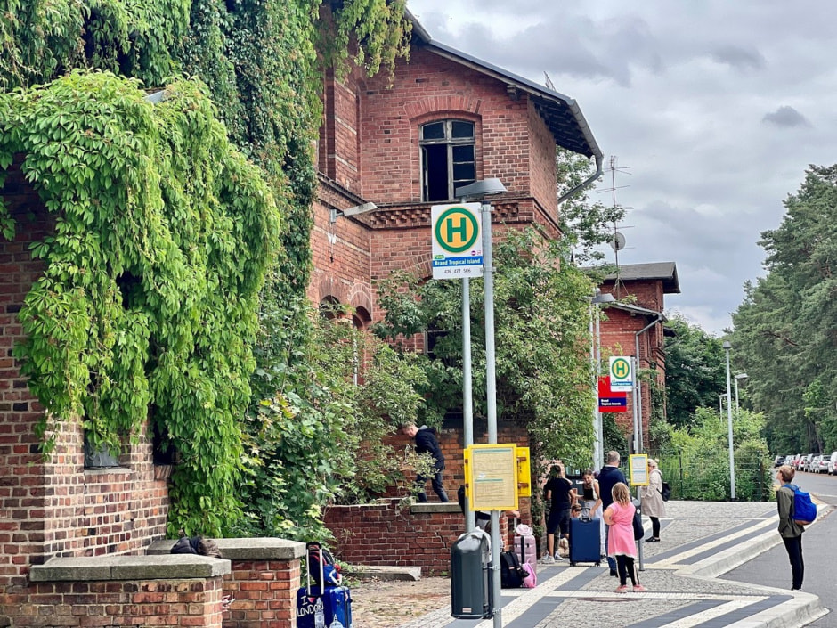 Крытый тропический лес 5.jpg